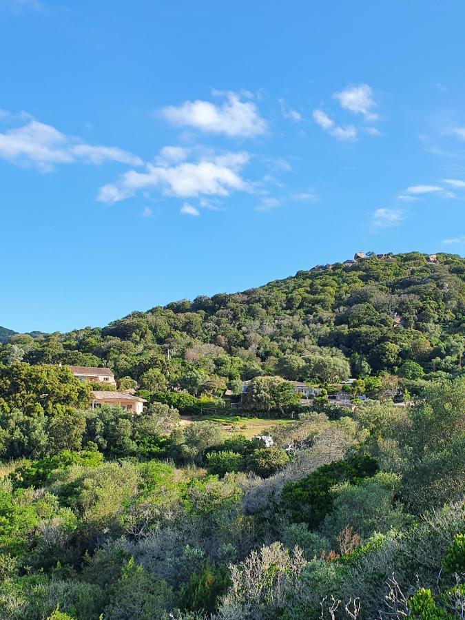 Bel Appartement Dans Hameau Calme Bonifacio  Exterior foto